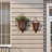 Bayla Metal Alloy Wall Planter