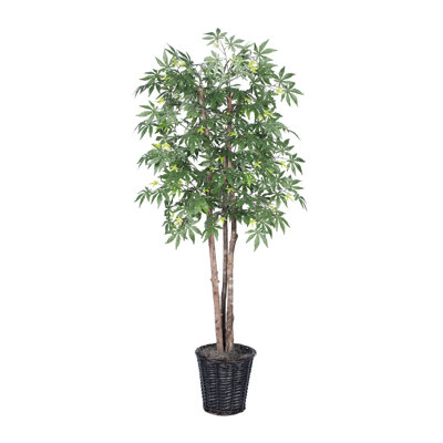 72'' Faux Maple Tree in Wicker/Rattan Basket