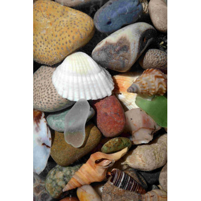 Stones and Rocks and Shells Iv - reproduction sur toile tendue