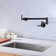 Designer Collection Kitchen Faucet