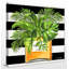 " Tropical Scents "-25751080-25751085
