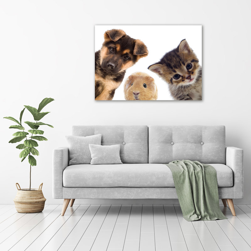 Pets - No Frame Print on Glass