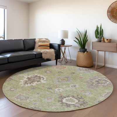 Lummus Washable Damask Indoor / Outdoor Rug