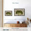 «Fresh Broccoli Wall Art»-1933919470