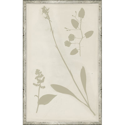 Ghost Herbaria In Celedon Giclee Print