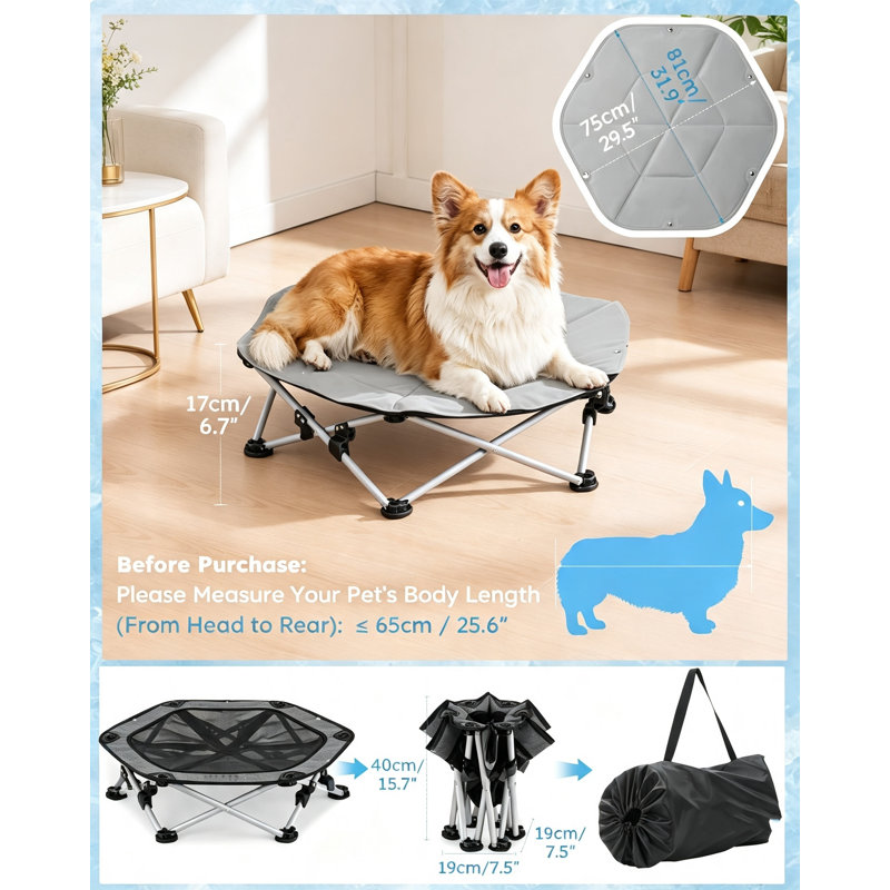 No-Assembly Elevated Dog Bed L Dia75cm