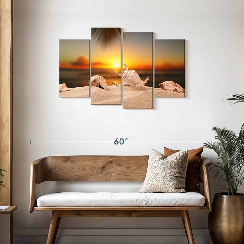 Aletra Sandy Beach Seashells