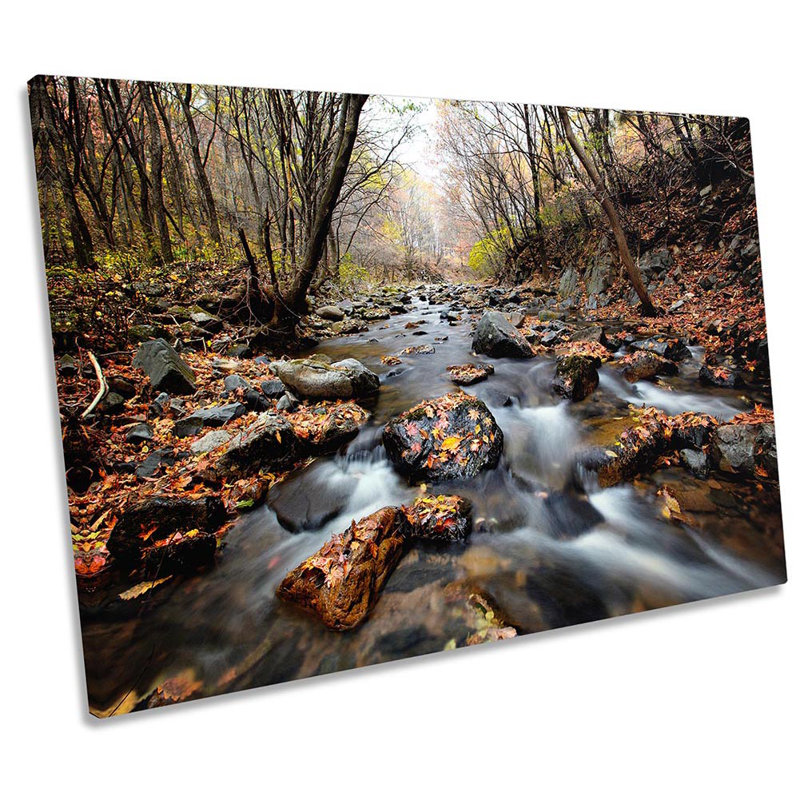 X5756 Forest Landscape Brown River - Wrapped Canvas Print, 40.6cm H x 61cm W