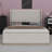 Upholstered Bed Frame With Storage Ottoman, And Vertical Stripe Wingback Headboard And Footboard-398401175-398401172