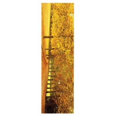Impression de feuilles d'automne (12 X 36)
