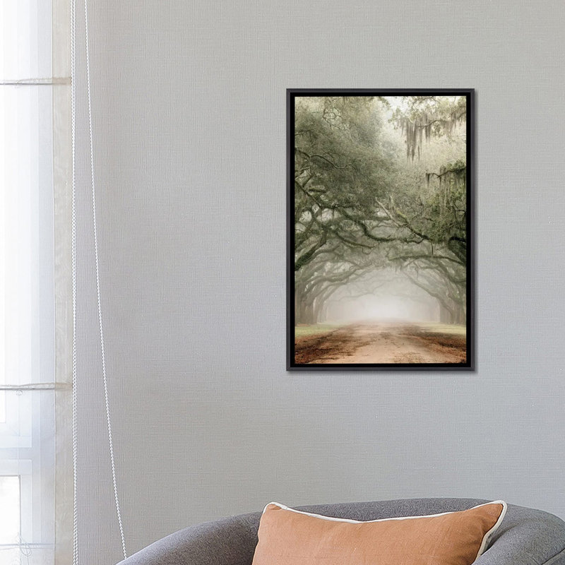Plantation Drive, 26" H x 18" W x 1.5" D, Distressed Black Floater Framed Canvas