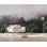 Murale naturelle Dayjah Forest Misty Jungle