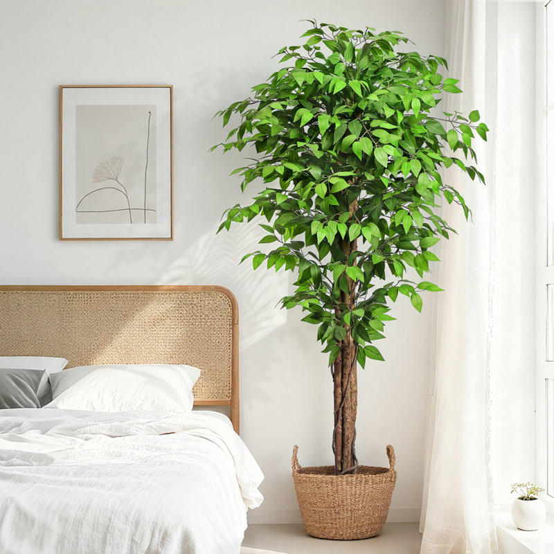  Grand ficus artificiel 7 pi （210 cm Large - Grand ficus artificiel en pot noir - Ficus artificiel pour espaces commerciaux, halls d'hôtel et décoration intérieure