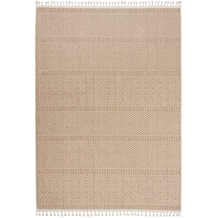 Striped Indoor Rug