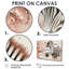 Zebra Tranquility Expression - impression murale zébrée-363580631-363580635-363580629