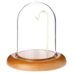 3" x 4" Watch Glass Display Dome Cloche