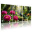 Ensemble de 3 toiles murales représentant un paon et des fleurs roses dans une jungle tropicale-521820144