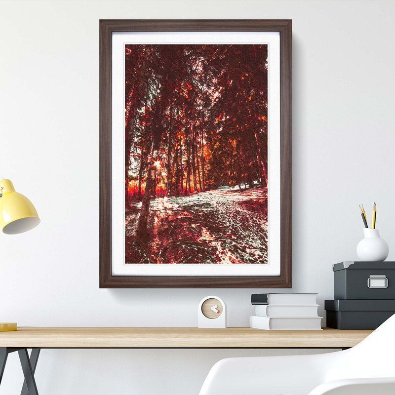 Forest Sunlight - Framed Print, 48cm H x 36cm W x 2cm D, Walnut Framed