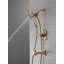 Ensemble de robinet de douche à double fonction Delta Ashlyn 17, ensemble de garniture de poignée de douche In2ition-115045077