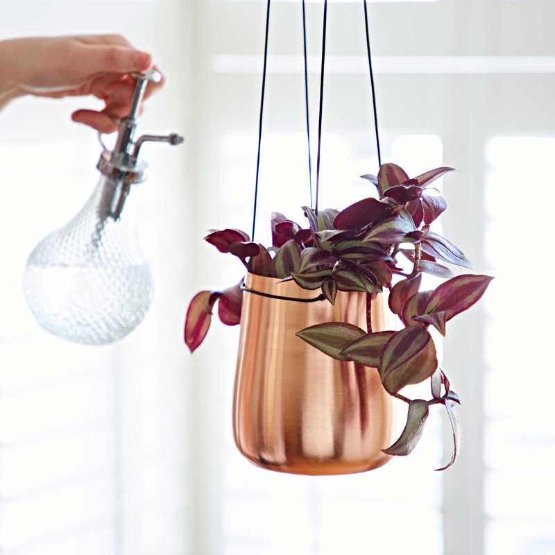 Iron Hanging Planter, 12cm H x 13cm W x 13cm D
