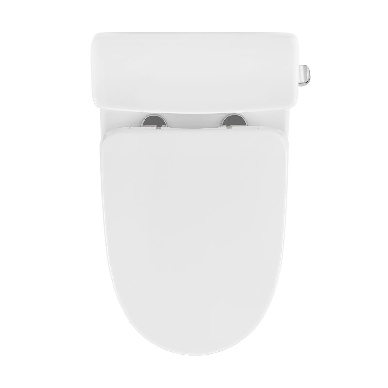Toilette ronde à droite brute de 1,28 GPF par Mackenzie