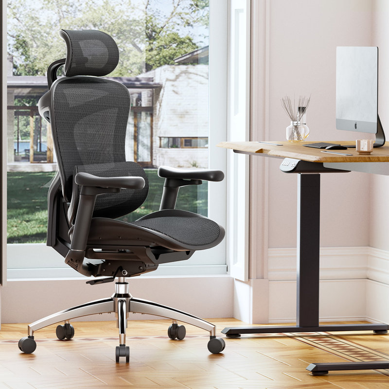 SIHOO Office Chair with Headrest, Black, Black/Silver
