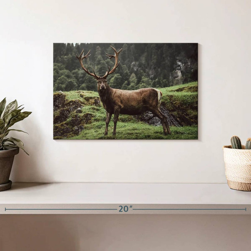 Brampt Majestic Mountain Deer, 8" H x 12" W