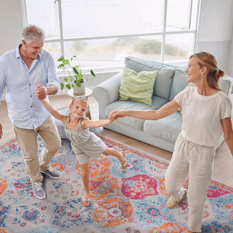 Area Rug 5' X 8', Washable Function Rug, Low-Pile Design, Non-Slip Function, Non-Shedding Function, Foldable Function, Kid & Pet Friendly  - Area Rugs