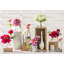 Lilies Arrangement in Vase-1248553881
