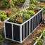 Planter-1437219214