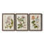 «Vintage Flowering Trees II», ensemble de 3 reproductions d'art sur toile-876857672-876857674