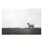 Photographie « islay ovin ii »-43719460-43719461