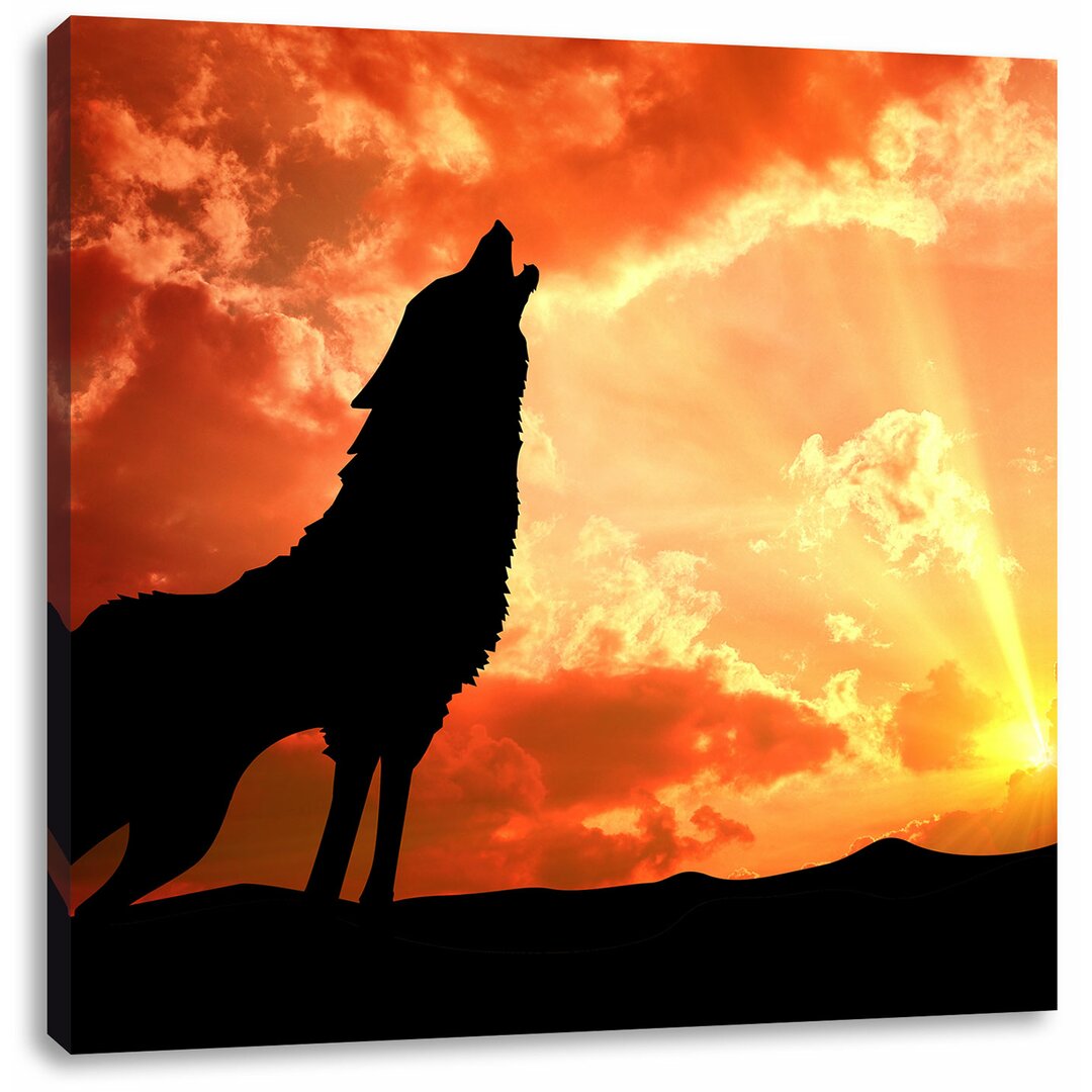 Leinwandbild Einsamer Wolf auf den Sonnenuntergang Heulen