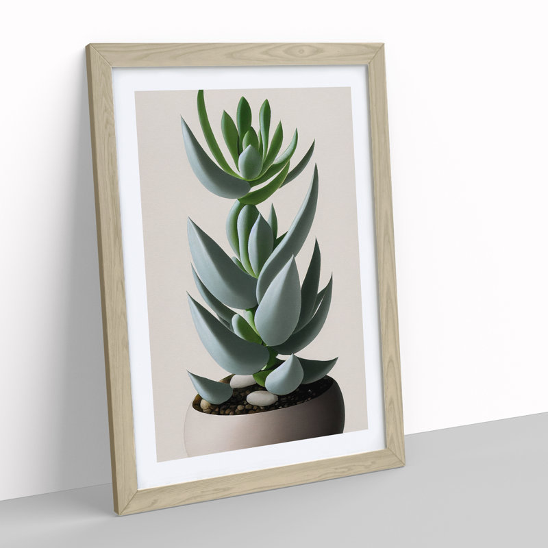 Succulent Plant - Single Picture Frame Print, 64cm H x 46cm W x 2cm D, Oak Framed