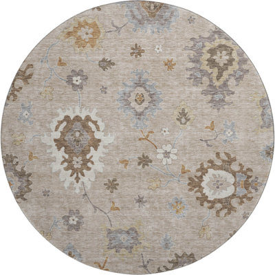 Premium Machine Washable Prisco Taupe Rug