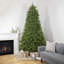 9' Pre-Lit Rockwood Pine Artificial Christmas Tree Multi Lights