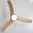 52'' Ceiling Fan With Lights And Remote Control-1679876732-1679876672