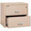 Fireproof 2 - Drawer File Cabinet-331546-217201