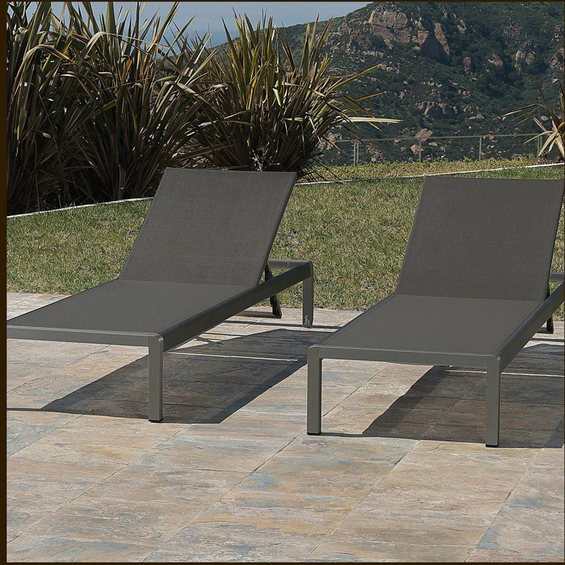 Chaise longue, ensemble de 2, pour l'extérieur, Gris