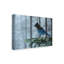 «Steller Jay In Fog» par Etelca, impression sur toile tendue-27651608
