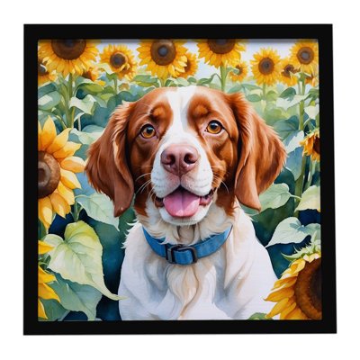 Brittany Spaniel in Sunflowers Framed Metal Print