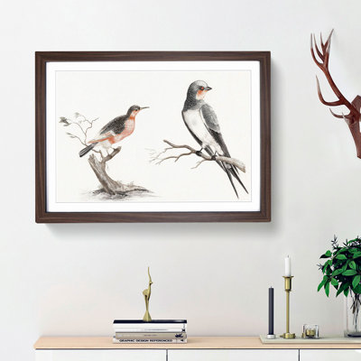 Songbird & Bee-Eater Bird by Johan Teyler - Framed Print