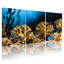 Ensemble de 3 impressions sur toile récif de corail sous-marin avec poisson bleu-414892907