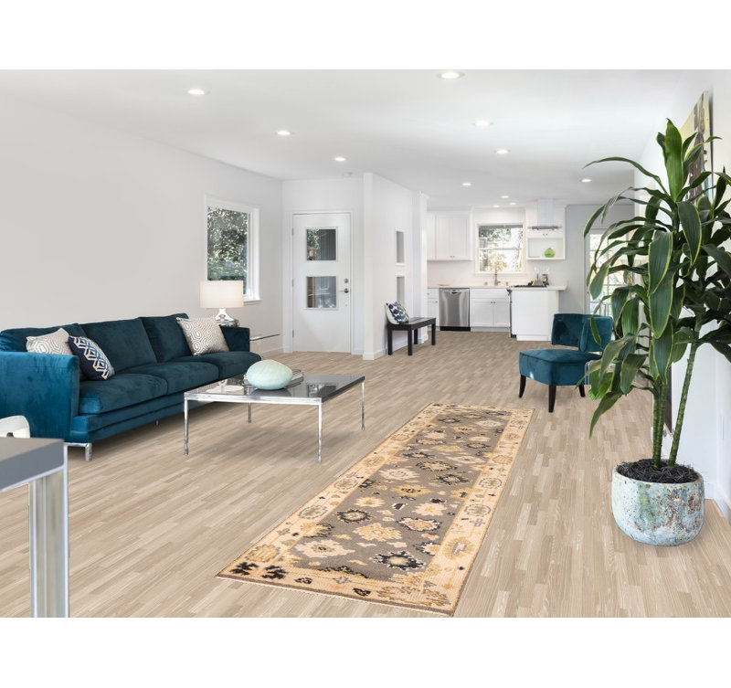 Tapis de couloir indien fait à la main 3 x 10 po
