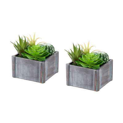 Artificial Plant, Set of 2, 8" Tall, Succulent, Table, Grey Wooden Pots, Contemporary, Modern