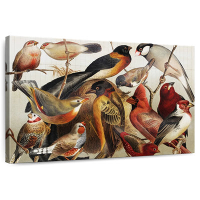 Collection d'oiseaux botaniques Brampt II