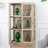 Zoilla Dining Cabinet