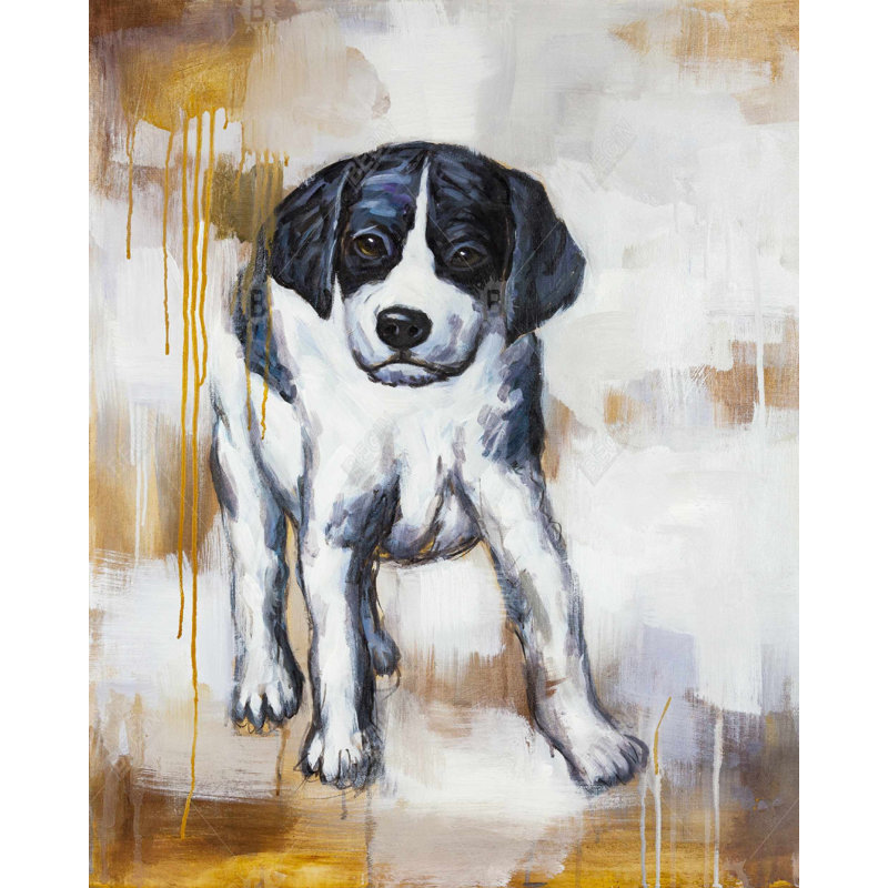 Curieux chiot - animaux de compagnie, reproduction encadrée avec passe-partout