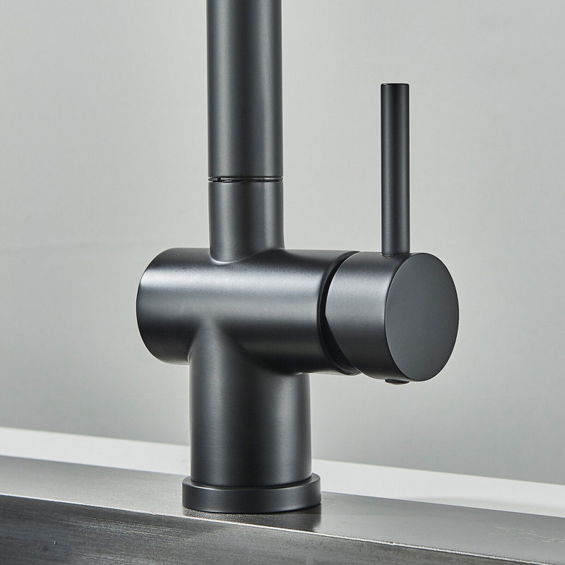 Belfry Kitchen Raposo Pull Out Kitchen Faucet