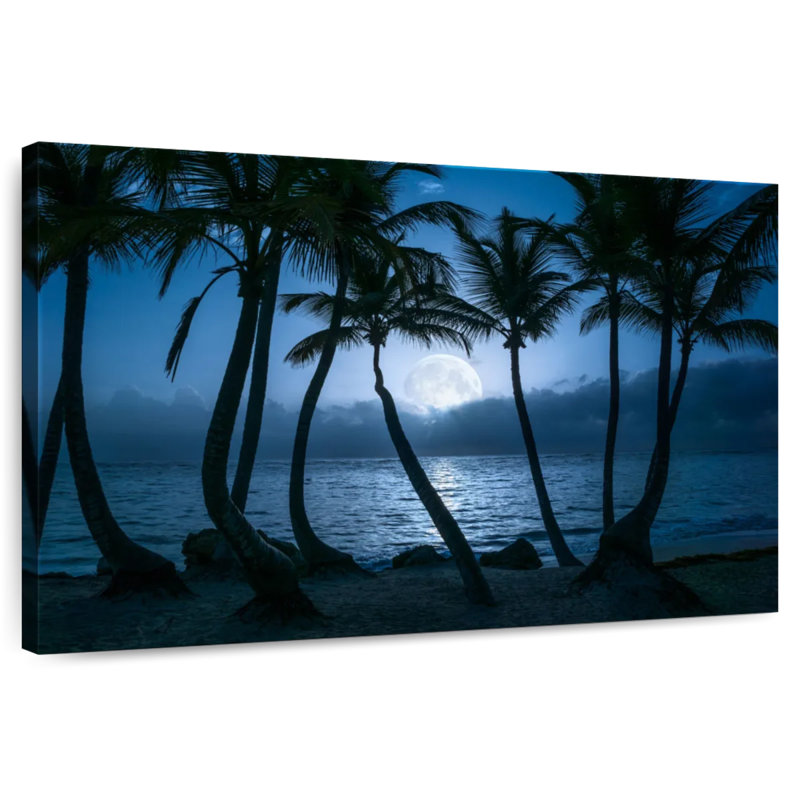 Palmiers de Pointe de Cana, la nuit, H 24 po x l 36 po